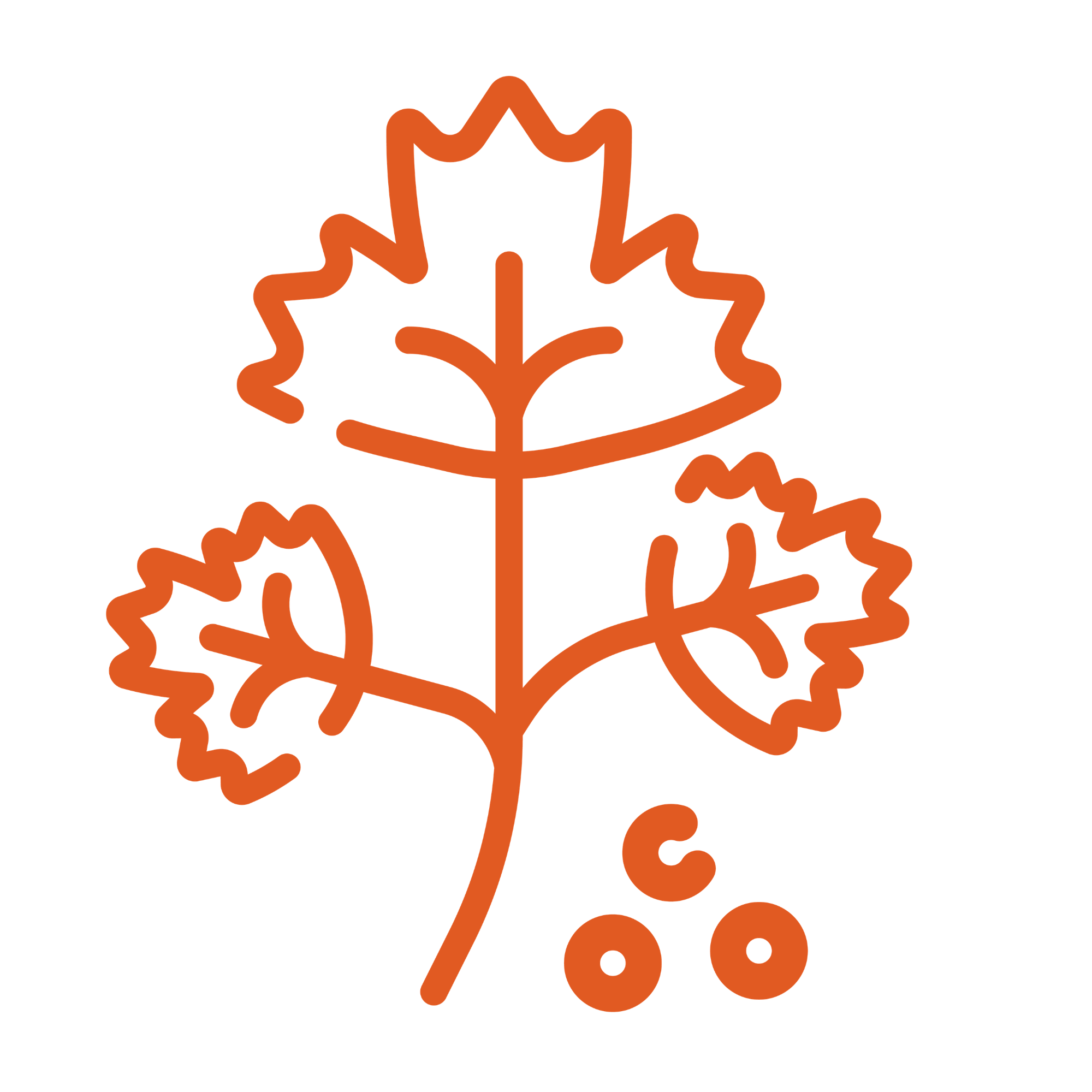 Icon Kräuer